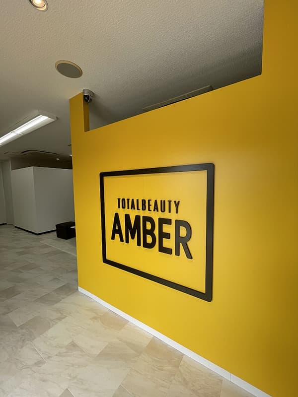 AMBER2
