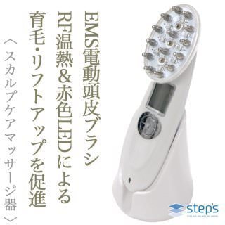 Step's プログラム ループ